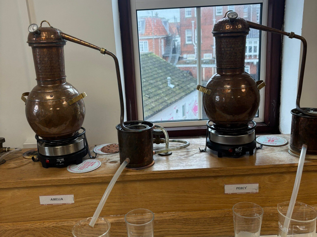 Adnams Distillery Tour-Southwold必去景点