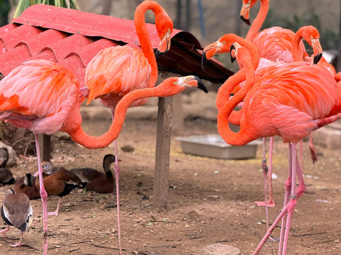 Yumká-Villahermosa必去景点