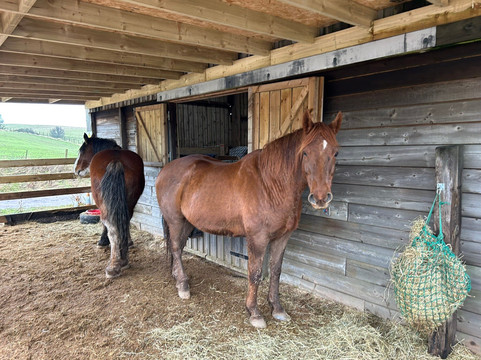 Eat Sleep Ride-Eyemouth必去景点