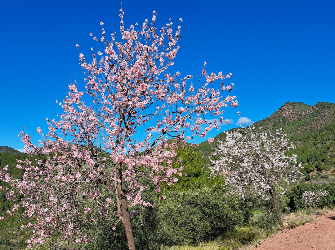 Valencia Mountain Enthusiasts-巴伦西亚必去景点