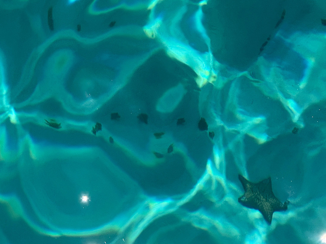 Palmar México-艾库玛尔必去景点