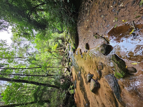 Buraco Do Padre-Ponta Grossa必去景点