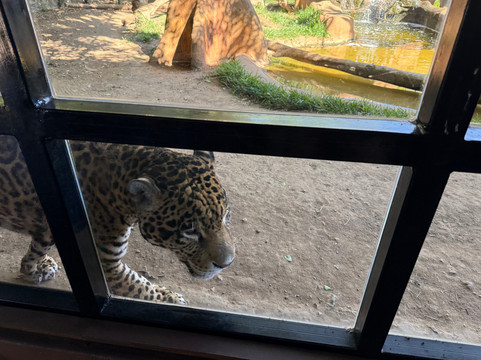 Pai Pai Ecotourism Park-恩塞纳达必去景点