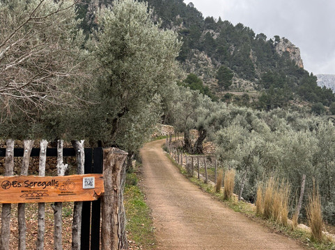 Es Seregalls-Fornalutx必去景点