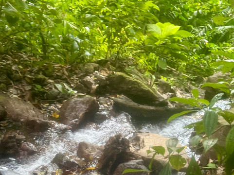 Rainmaker Park-帕利塔必去景点