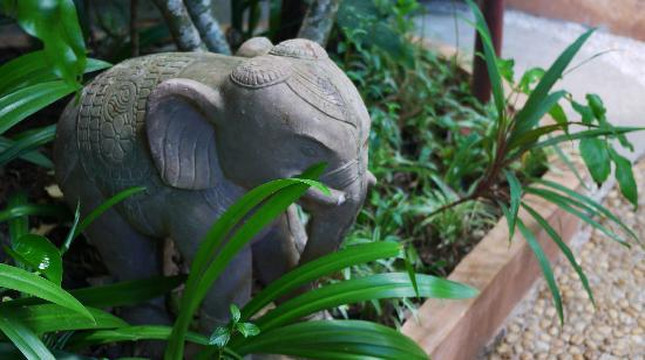 萨瓦斯德乡村酒店主图