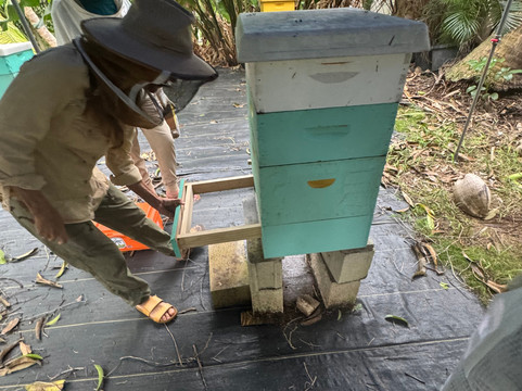 Hanai Hives-哈雷瓦必去景点