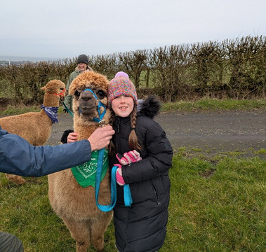 North Coast Alpacas-科尔雷恩必去景点