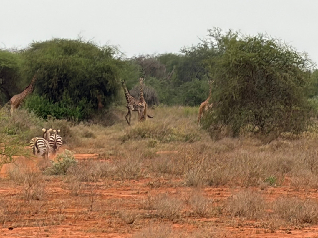 Northern Wild Hunters-班布里必去景点