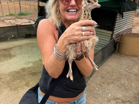 Highgate Ostrich Show Farm-奥兹洪必去景点