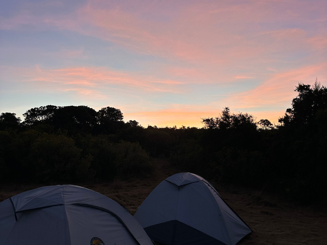Ethiopia Trek and Tour-贡德尔必去景点