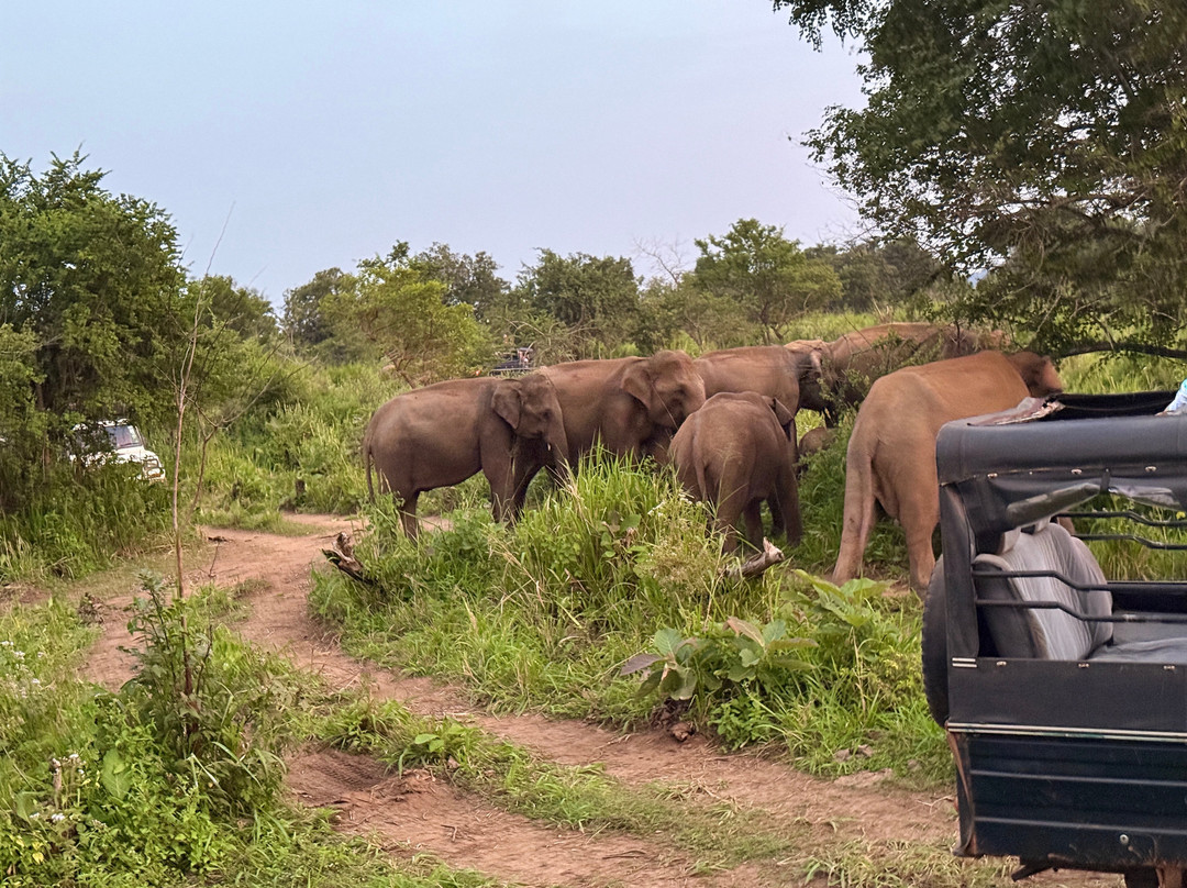Explore Safari Tours-哈巴拉娜必去景点