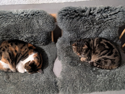 达思思托克贝特酒店主图