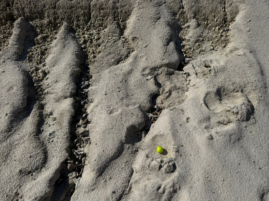 Dona Julia Golf Club-卡萨雷斯必去景点