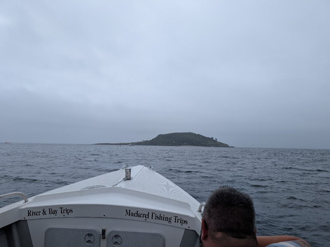 Looe Island-卢城必去景点