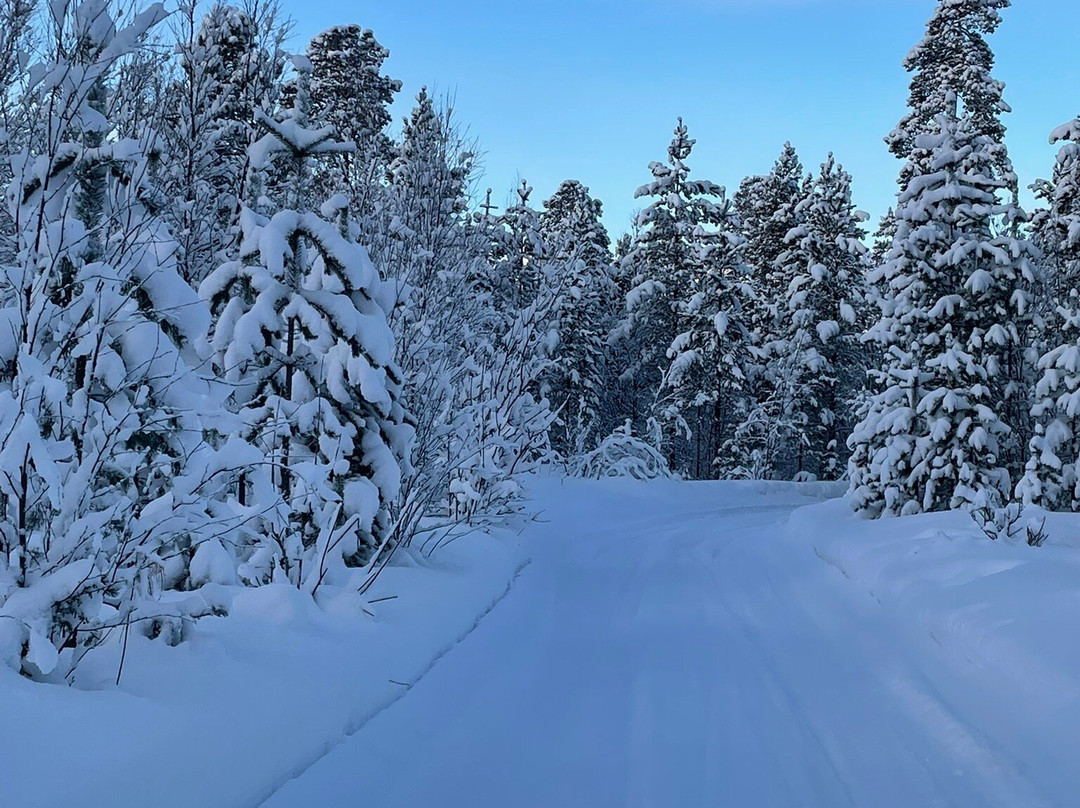 Trasti & Trine AS-阿尔塔必去景点