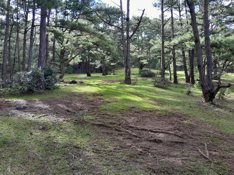 Lang Biang Trail-大勒必去景点