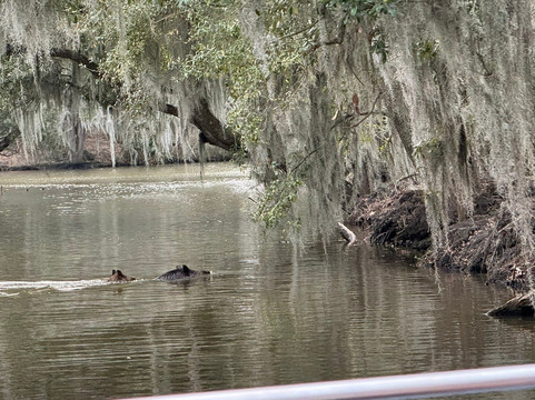Louisiana Tour Company-Crown Point必去景点