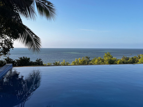 Mafia Island Diving-马菲亚岛必去景点