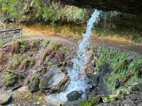 Maspie Den-Falkland必去景点