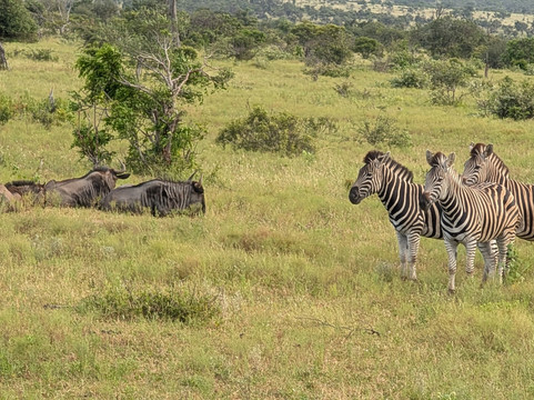 MoAfrika Tours-约翰内斯堡必去景点