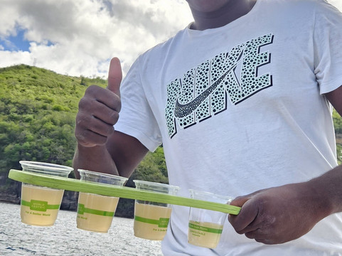 Dominica Water Tours-Scotts Head必去景点