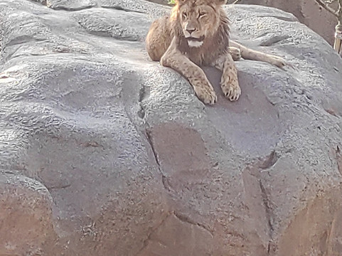 Zoom Torino-Cumiana必去景点