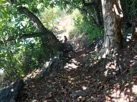 Morgan's Head-Providencia Island必去景点