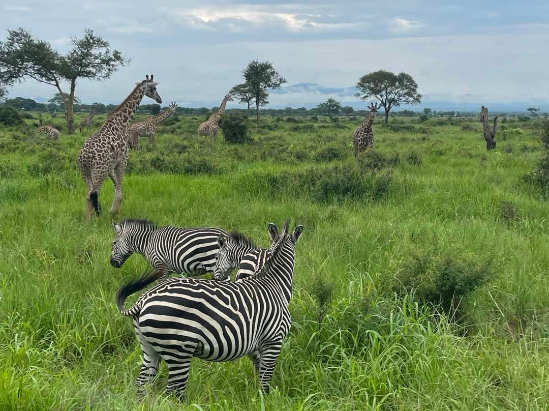 Dau Tours & Safaris-石头城必去景点