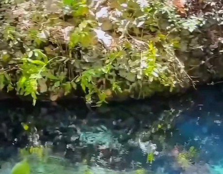 Olheiro Spring-Pureza必去景点