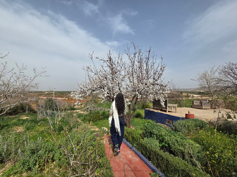 非斯布勒曼大区旅游景点-Domaine De La Pommeraie