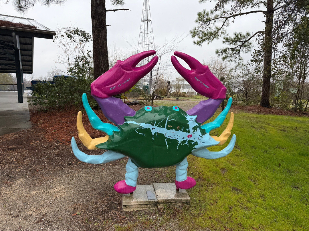North Carolina Estuarium-Washington必去景点