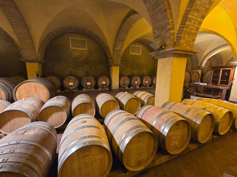 Winery Solaria Patrizia Cencioni-蒙塔尔奇诺必去景点