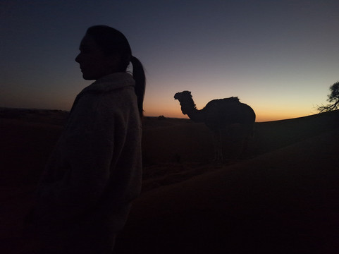 My Sahara Trek-迈哈米德必去景点