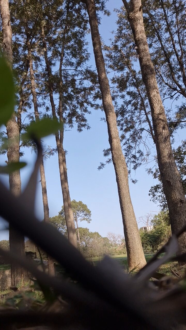 格德拉维梵塔维史诺戴维-浴室