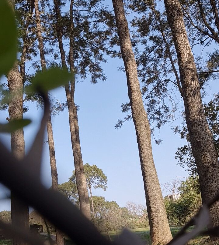 格德拉维梵塔维史诺戴维主图