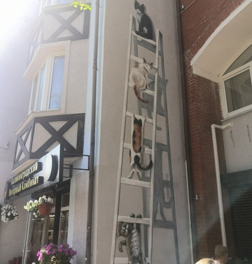 Kurortny Ave.-泽列诺格拉茨克必去景点