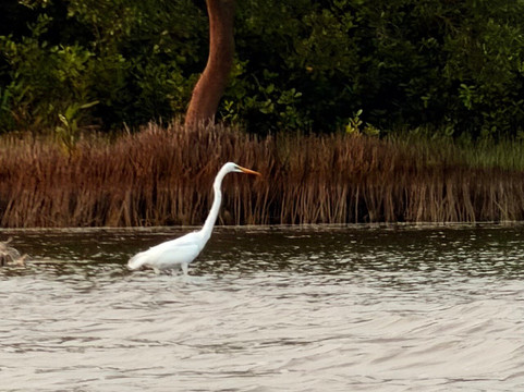Kayak journey-Rekawa必去景点