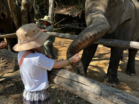 Kulen Elephant Forest-暹粒必去景点