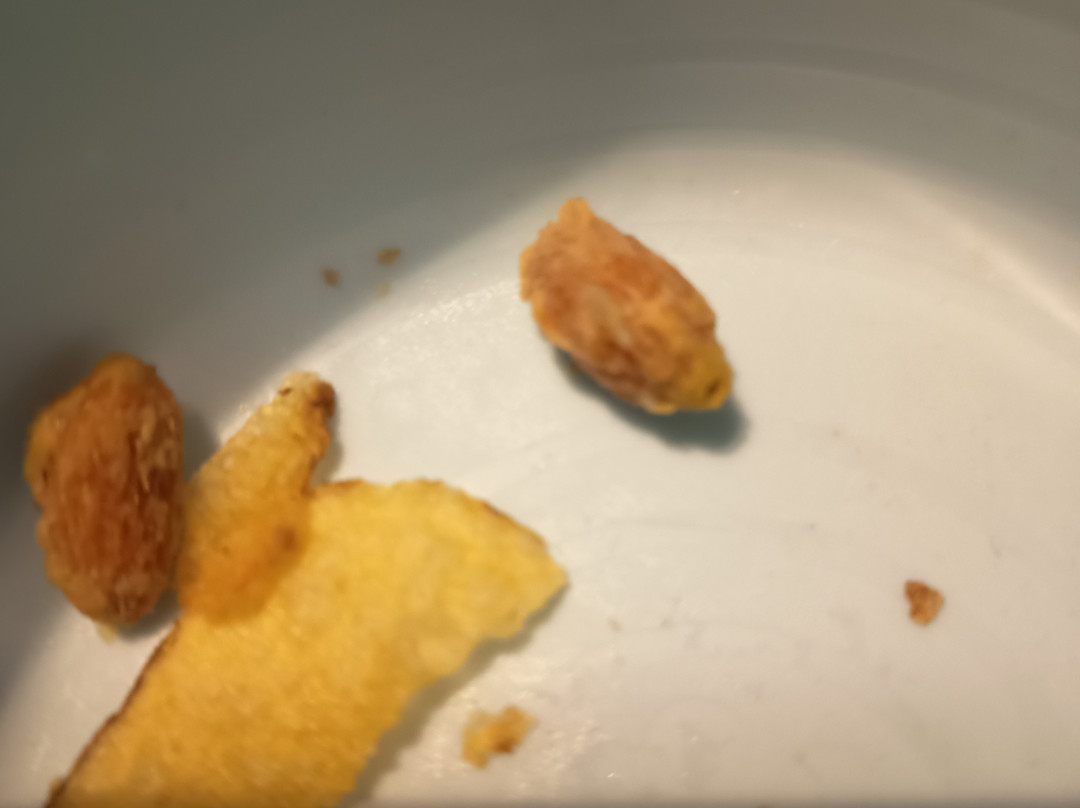 Cromwell's-阿利坎特省必去景点