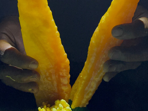 Ijen Blueflame Tour - Day Tours-巴纽旺宣必去景点