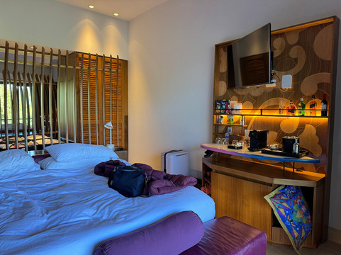 哥斯达黎加W酒店-莱瑟瓦康洽尔主图