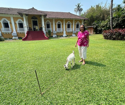 Silva Heritage-奔闹林必去景点