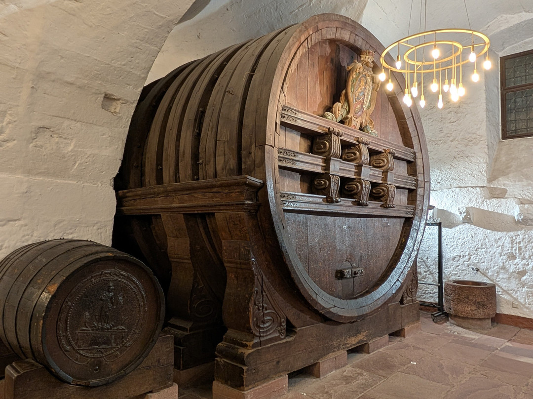 Heidelberg Tun-海德尔堡必去景点