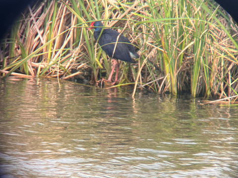 PerNatur - Nature Trails-奥良必去景点