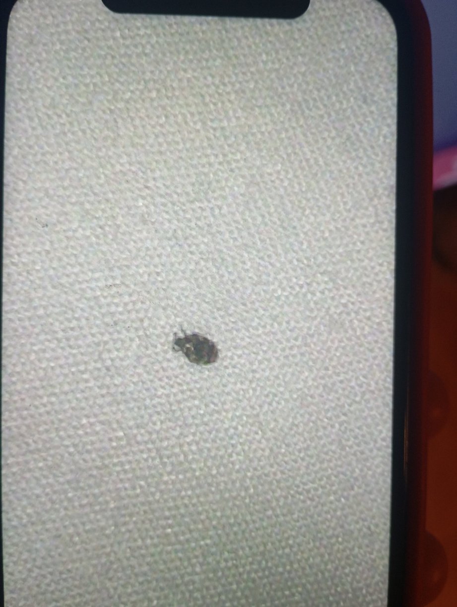 Kyriad Martigues Sud-官方