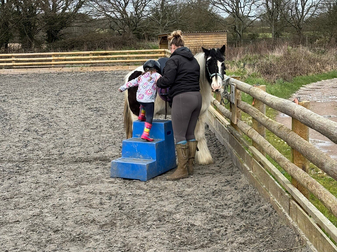 Blackberry Farm Park-刘易斯必去景点
