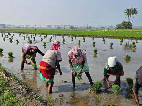 BOUT INDIA TOURS-斋蒲尔必去景点