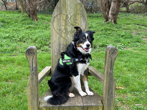 Lodmoor Country Park-韦茅斯必去景点