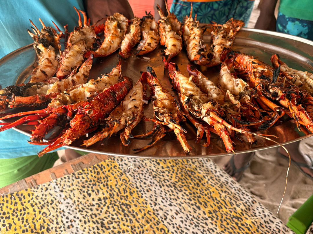 Safari In Kenya Con Samba-瓦塔木必去景点